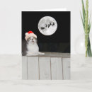 Recherche de funny cat christmas cards Drôle