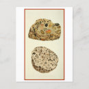 Recherche de pudding cartes postales Illustration