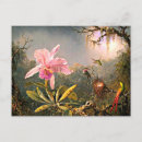 Search for cattleya orchid postcards Flowers