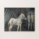 Recherche de rayures de zèbre puzzles Zoo