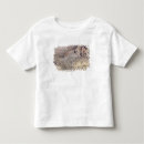 Search for 1903 clothing Female