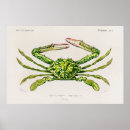 Search for shellfish posters Vintage