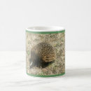 Search for echidna mugs Australia