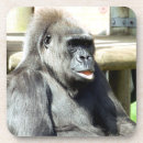 Search for primate coasters Funny