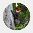 Search for koala ornaments Tree