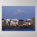 Search for wildlife fine posters Nature