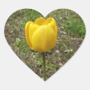 Search for yellow tulip stickers Nature