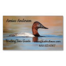 Search for canvasback Bird