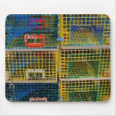 Search for trapped mousepads Maine