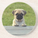 Recherche de carlins mignons dessous de verres Chiot