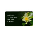 Search for pond return address labels Lily