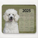 Recherche de beau chien tapis souris Blanc