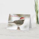 Search for santa hat christmas cards Bird