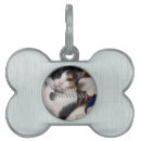 Search for christmas cat tags Winter