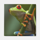 Recherche de blooded magnets Dehors