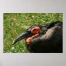 Recherche de africaine posters Animal