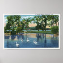 Recherche de lac cygne posters Cygnes