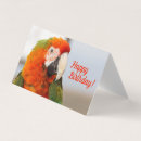 Search for macaw birthday cards Parrot