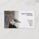 Search for peacock business cards Beauty