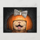 Recherche de humour citrouille invitations Amusant