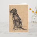 Search for leash cards Dog