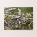Search for logs puzzles Pond