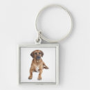 Search for rhodesian ridgeback dog keychains Puppy