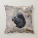 Search for black squirrel pillows Animal