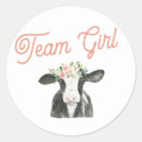 Search for team girl stickers I vote girl