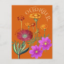 Recherche de fleur cosmo cartes postales Pour elle