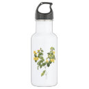 Search for be flat drinkware Botanical