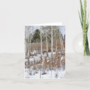 Search for birch christmas cards Snow