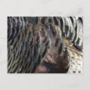 Search for abstract design postcards Grey