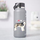 Search for siberian husky dog stickers Chuksha