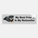 Search for rottweiler gear bumper stickers Puppy