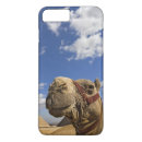Search for giza iphone cases Pyramid