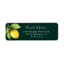 Search for citrus return address labels Rustic