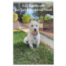 Recherche de westie calendriers Chiens