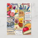 Search for vintage seed packets postcards Botanical