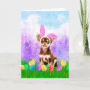 Search for chihuahua easter cards Colourful