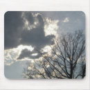 Recherche de arbre et ciel Nuage