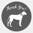 Search for great dane dog stickers Silhouette