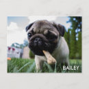 Recherche de family photo cartes postales Create your own