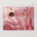 Search for beetle horizontal postcards Flower