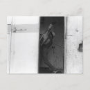 Recherche de bizzare cartes postales Cheval