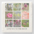 Search for rose picture coasters Photography