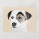 Search for parson russell terrier postcards Jack