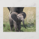 Search for encouraging verses postcards Bible