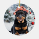 Recherche de rottweiler ornements Noël