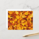 Recherche de feuille érable cartes postales Automne